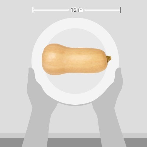 Organic Butternut Squash, 1 Each