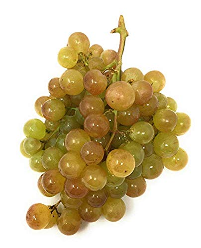 Muscat Grapes, 1 lb