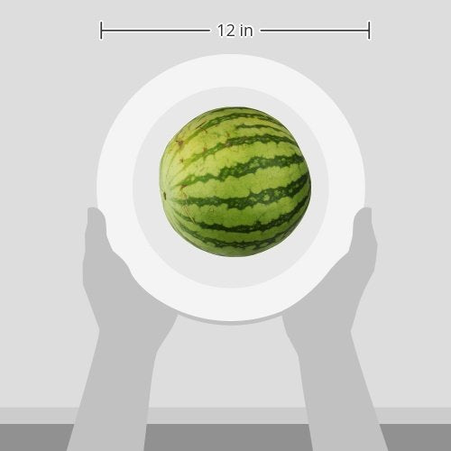 Mini Seedless Watermelon, 1 Each