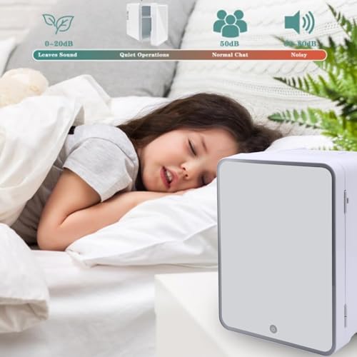 Personal Beauty Fridge, Mirrored Door with LED Light Cooling and Warming Function Refrigerator for All Cosmetics and Skincare Needs, Professional Efficient Low Power 10 Liter(U.S. regulations)