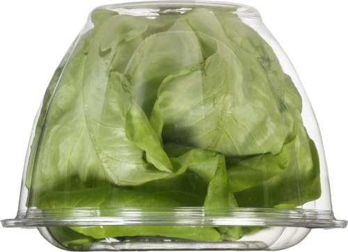 Gotham Greens Baby Butterhead, 1 Each