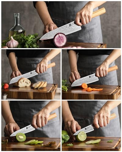 XINZUO 5 Pieces Kitchen Knife Set without Block, Hand Forged 67 Layers Damascus Steel Professional Chef Knife Set, Ultra Sharp,Olive Wood Octagonal Handle, Gift Box