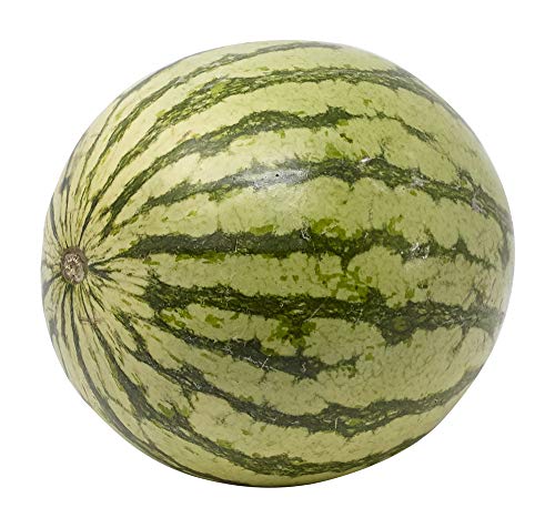 Organic Mini Seedless Watermelon