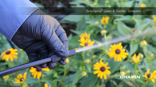 Chapin 20000 Made in USA 1 -Gallon Lawn and Garden Pump Pressured Sprayer, for Spraying Plants, Garden Watering, Weeds and Pests, Polypropylene, Translucent White