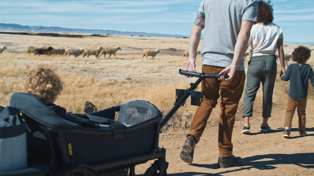 Veer Cruiser | Next Generation Stroller Wagon for Kids | The Feel and Safety of a Premium Stroller with The Fun of a Lightweight, Rugged Wagon | Push/Pull/Push-Along | Fully Collapsible
