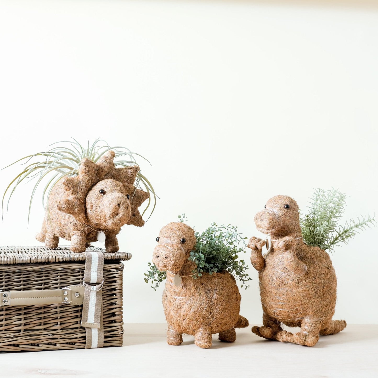Triceratops Planter - Coco Coir Pots | LIKHÂ