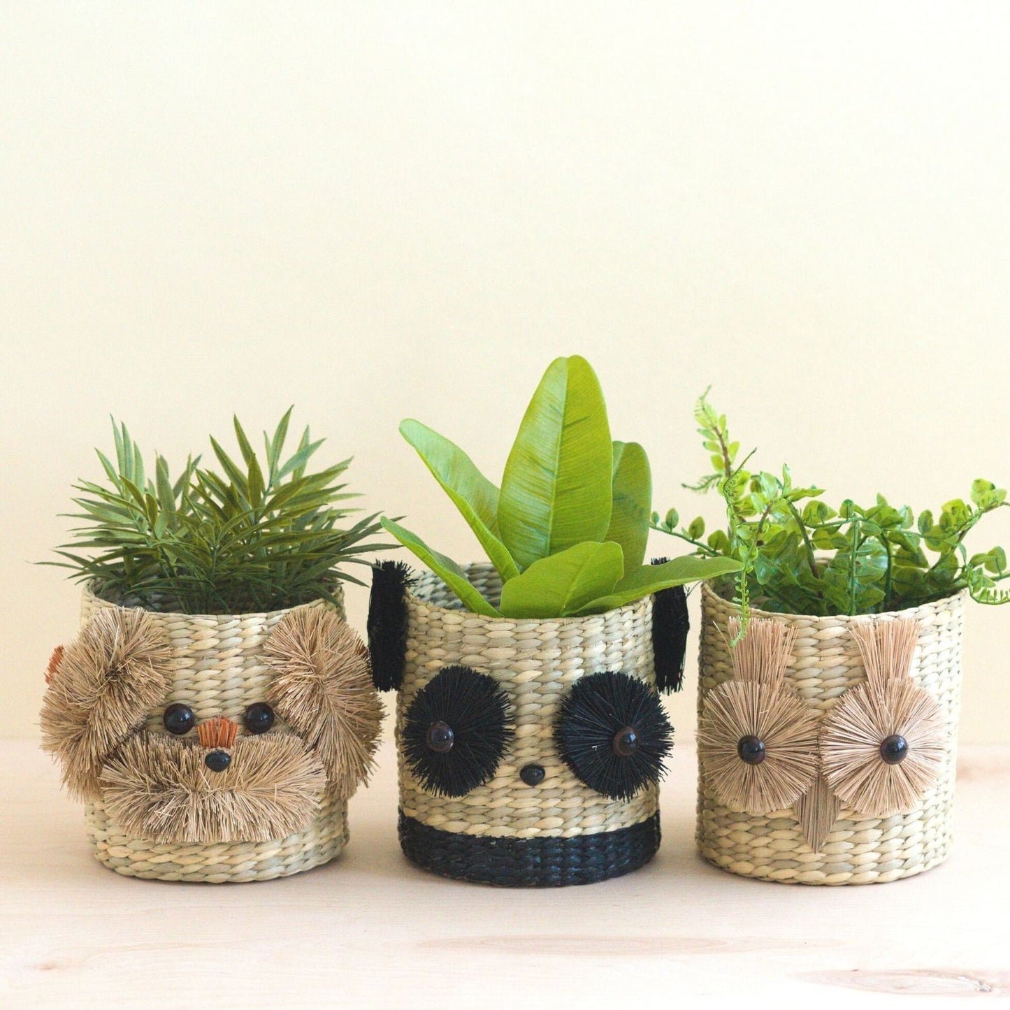 Dog 6" Seagrass Basket Planter - Planter Basket | LIKHA