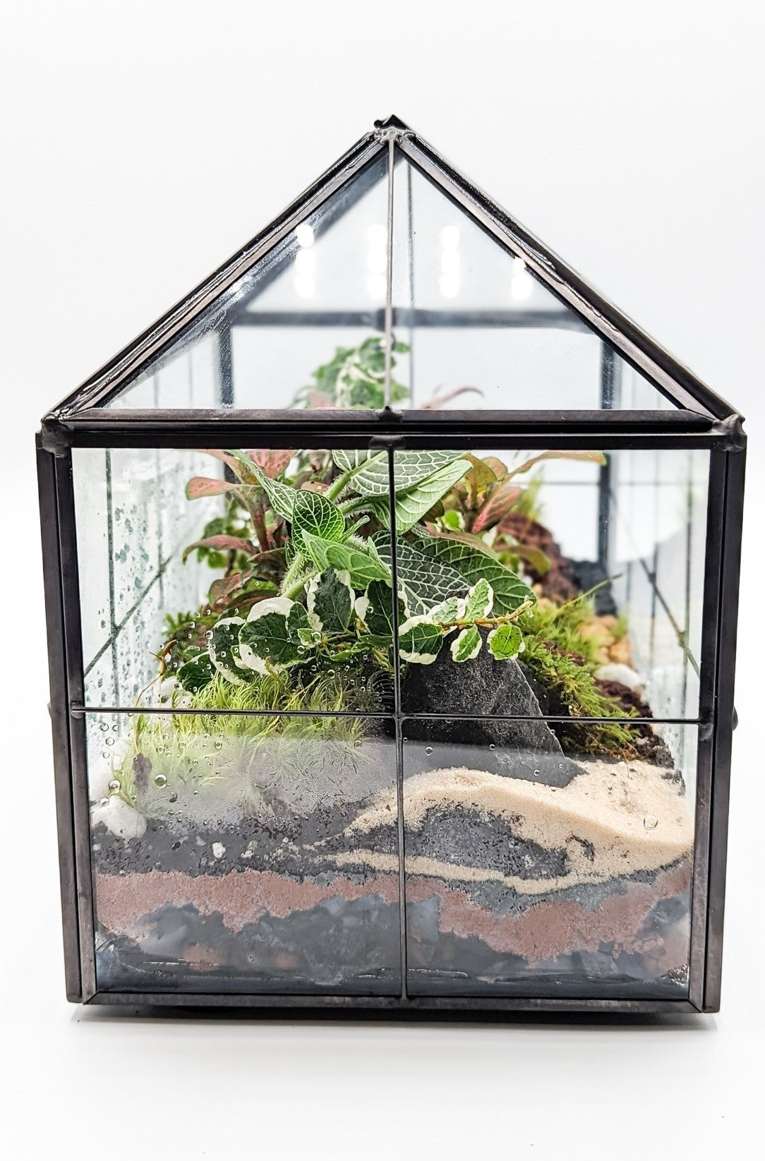 Greenhouse
