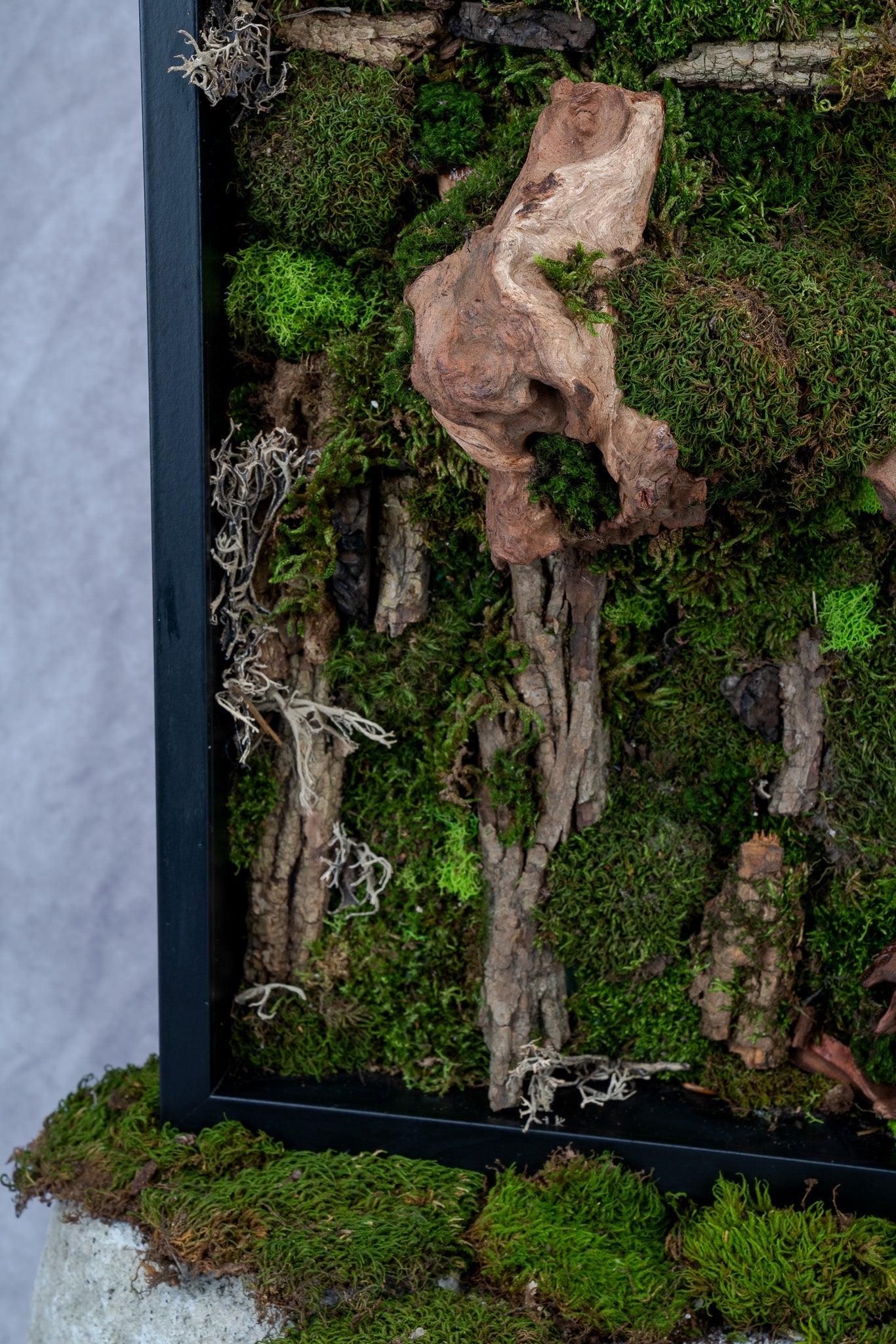 Pandora Moss Wall