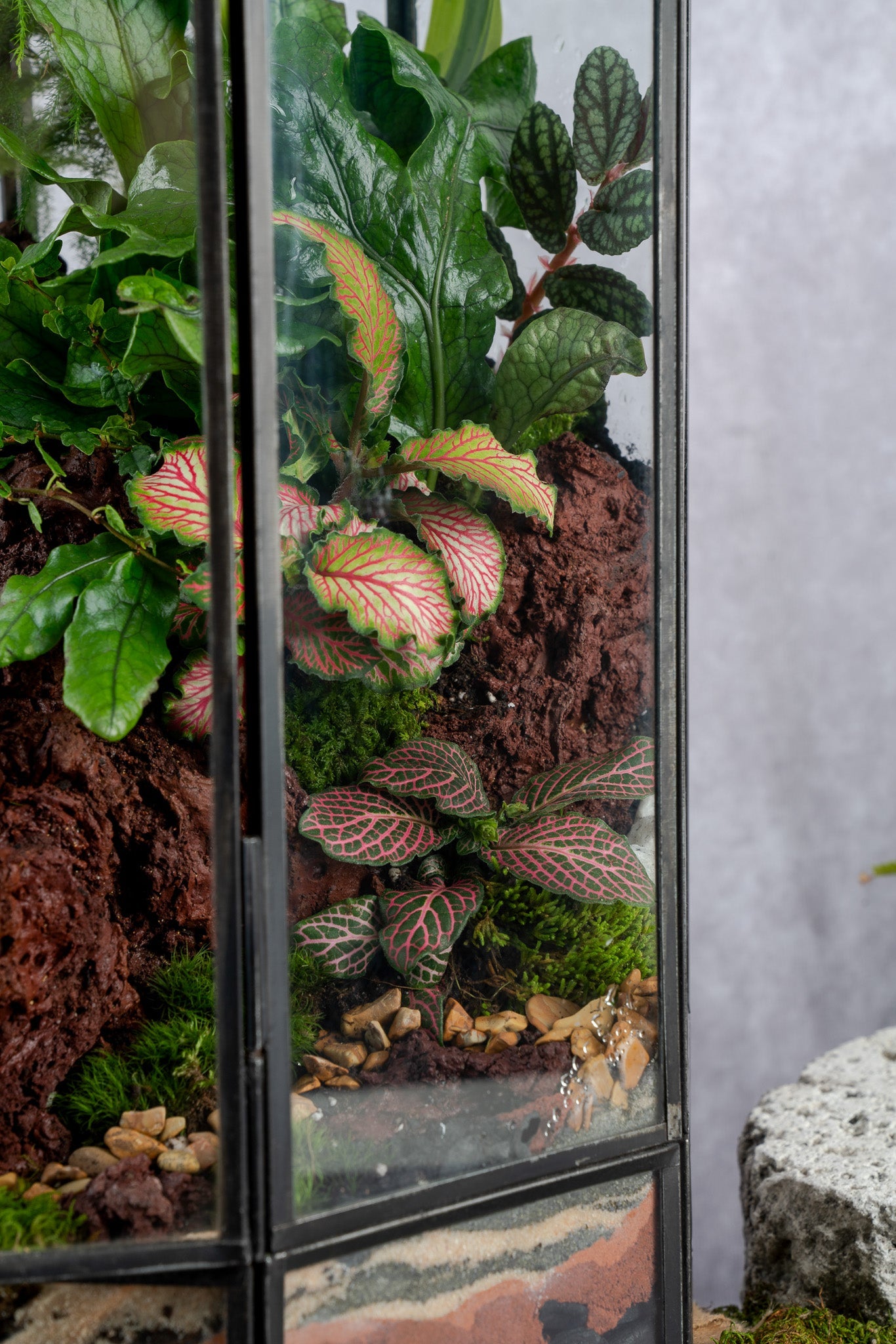 Babylon Tower Terrarium
