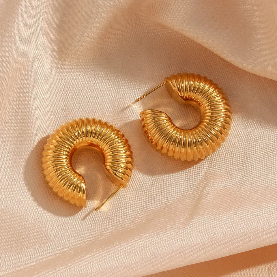 Denise Earrings - Chunky Hoop Earring