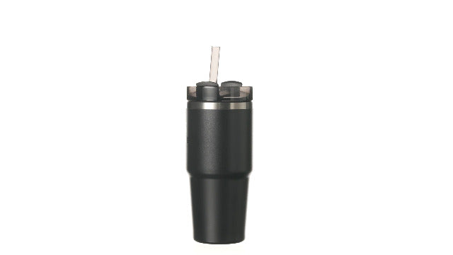 Stanley Quencher H2.0 FlowState Stainless Steel Vacuum Insulated Tumbler with Lid and Straw for Water, Iced Tea or Coffee