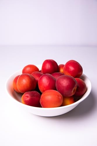 Red Apricots, 1Lb