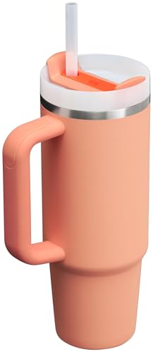 Stanley Quencher H2.0 FlowState Stainless Steel Vacuum Insulated Tumbler with Lid and Straw for Water, Iced Tea or Coffee