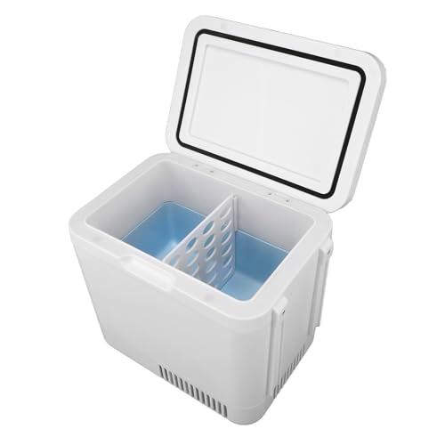 TOPINCN Mini Fridge, USB Personal Refrigerator for Skincare Beverage Food Medication, 6L Cosmetic Makeup Mini Fridge for Skin Care