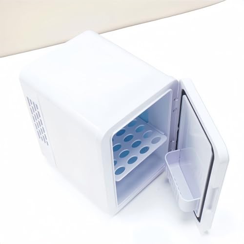 Small Refrigerator, Portable Personal Refrigerator, Thermoelectric Cooler Refrigerators for Skincare, Beverage, Food, Home, Office and Car