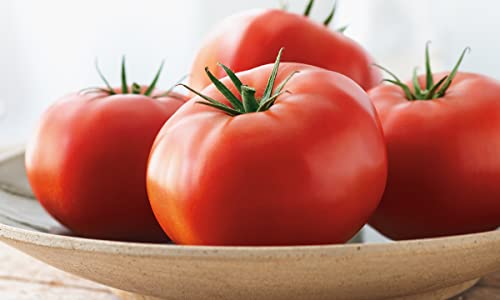 Sunset, Organic Beefsteak Tomatoes, 2 ct