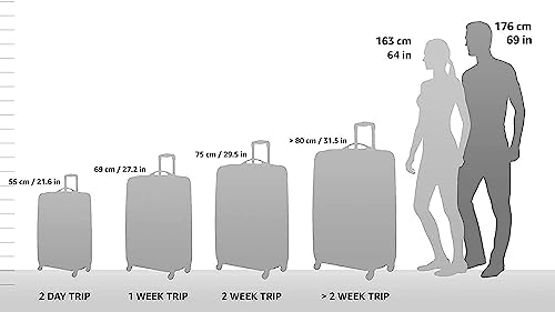 Travel Select Amsterdam Expandable Rolling Upright Luggage, Burgundy, 2-Piece Set