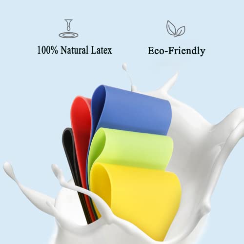 Resistance Bands for Arms Leg Thigh Booty Squat Physical Therapy, 5 Heavy & Light Resistance Levels, Mini Gym Loop Exercise Bands for Men Women Kids Elderly, Wristband Headband Carry Bag Guide - 9 Set