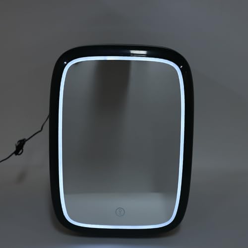 Personal Beauty Fridge,12L Small Fridge Portable Cooler Warmer Small Refrigerator with Dimmable LED Mirror,Mini Refrigerator Skincare Fridge for Cosmetics Skincare Food 100‑240V (#1)