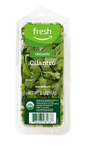 Amazon Fresh Brand, Organic Cilantro, 0.5 Oz
