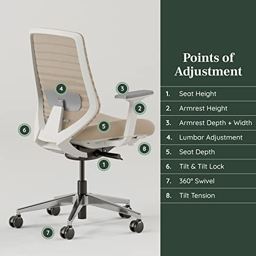 Ergonomic Chair - A Versatile Desk Chair with Adjustable Lumbar Support, Breathable Mesh Backrest, and Smooth Wheels - Experience Optimal Comfort and Support - Sand - White