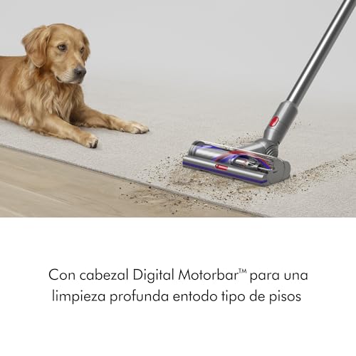 Dyson V15 Detect Plus Cordless Vacuum, Yellow/Nickel