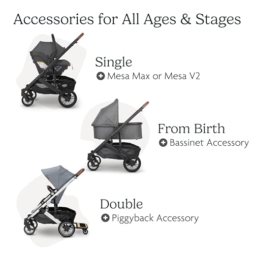 UPPAbaby Cruz V2 Stroller/Full-Featured Stroller with Travel System Capabilities/Toddler Seat, Bumper Bar, Bug Shield, Rain Shield Included/Jake (Charcoal/Carbon Frame/Black Leather)
