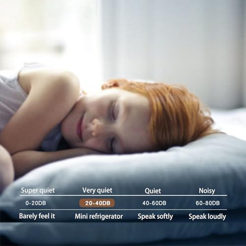 Mini Skin Care Fridge, 15 Liter Portable Small Fridge, Personal Compact Refrigerator for Bedroom, Office, Car, Makeup, Living Room