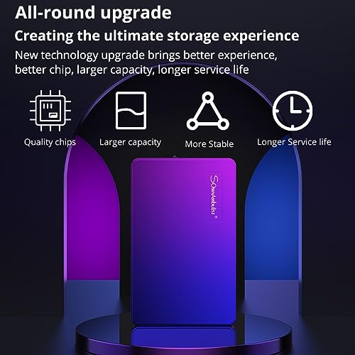 Somnambulist 1TB Portable External Hard Drive USB3.0 Ultra Slim HDD Storage Compatible for PC, Desktop, Laptop, Game Console, PS4 （Blue Purple Gradient） YD0002 1TB External HDD