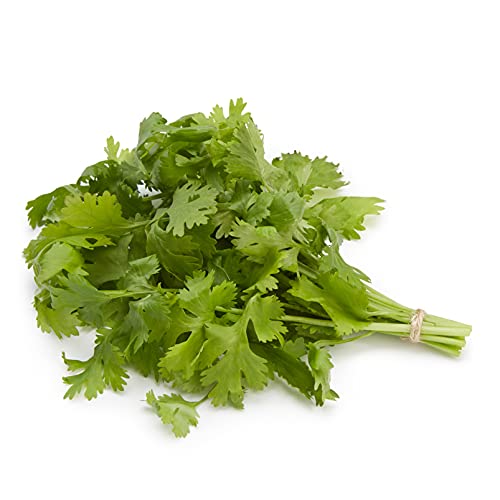 Amazon Fresh Brand, Organic Cilantro, 0.5 Oz