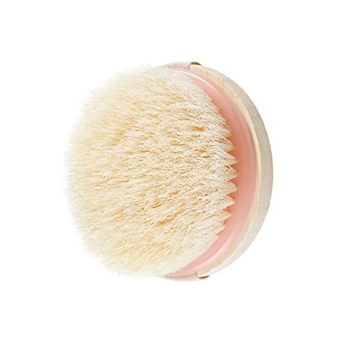 EcoTools Dry Body Brush, Cruelty-Free Bristles Exfoliate & Smooth Skin, Dry Brushing Removes Dry Skin, May Help Improve Circulation & Skin Tone, Eco-Friendly Skincare Tool, Vegan, 1 Count