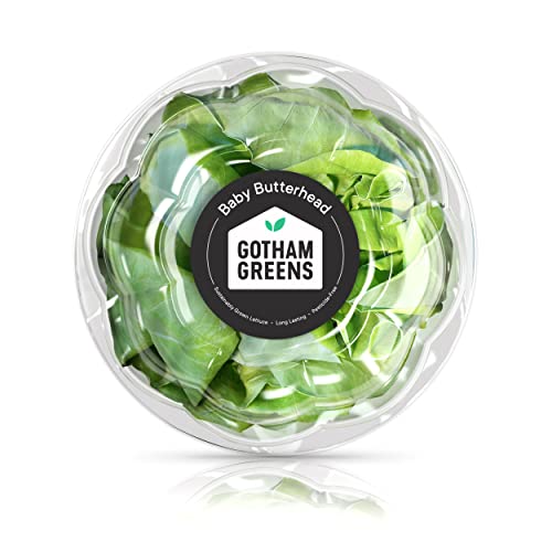 Gotham Greens Baby Butterhead, 1 Each