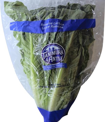 Romaine Lettuce, 1 Each
