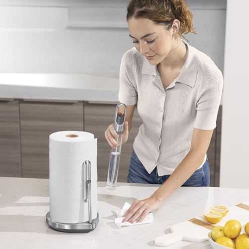 simplehuman Standing Paper Towel Holder with Spray Pump, Brushed Stainless Steel