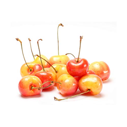 PRODUCE Rainier Cherries, 16 OZ