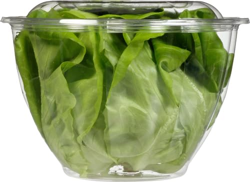 Gotham Greens Baby Butterhead, 1 Each