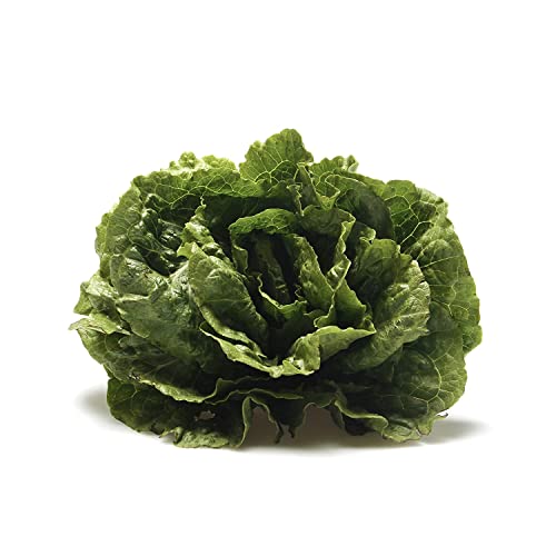 Romaine Lettuce, 1 Each