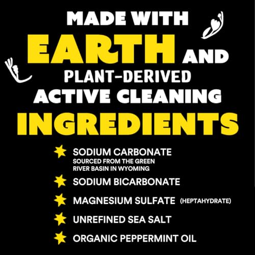 Molly's Suds Original Laundry Detergent Powder | Natural Laundry Detergent Powder for Sensitive Skin | Earth-Derived Ingredients, Stain Fighting | 240 Load (Peppermint)