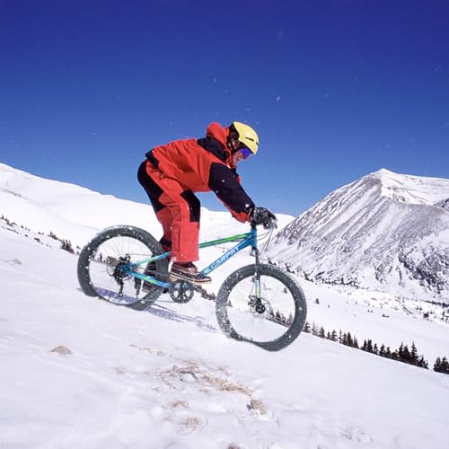GOWE S24109 Elecony 24 Inch Fat Tire Bike Adult/Youth Full 7 Speeds Mountain Bike, Dual Disc Brake, High-Carbon Steel Frame, Front Suspension, Mountain Trail Bike, Urban Commuter City Bicycle