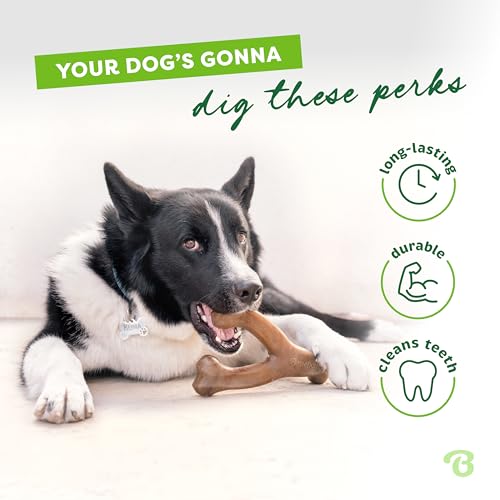 Benebone Wishbone Durable Dog Chew Toy for Aggressive Chewers, Real Bacon, Made in USA, Medium