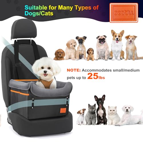 Dog Car Seat - Dog Bed for Small Dogs Waterproof Booster Seat Clip-on Harness and Thick Memory Foam Padding Pet Travel Bed Small Dog Car Seat Cover for Back Seat Dog Car Seat Bed