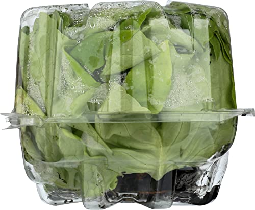 Organic Butter Lettuce, 6 Oz