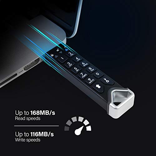 iStorage datAshur PRO2 256 GB Secure Flash Drive FIPS 140-2 Level 3 Certified Password Protected Dust Water-Resistant IS-FL-DP2-256-256, Black