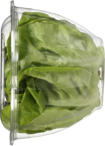 Gotham Greens Baby Butterhead, 1 Each