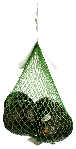 365 by Whole Foods Market, Organic Hass Avocados, 4 Count