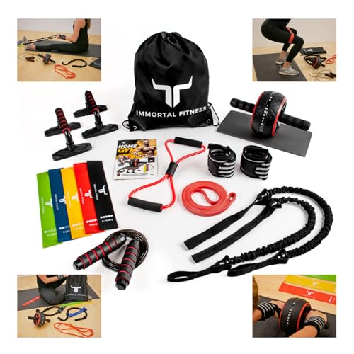 Portable Home Workout Resistance Set - Physical Therapy at Home - Resistance Bands, Jump Rope, Ab Wheel, Push-up Bars, and More! Great for Training at Home or on The Go