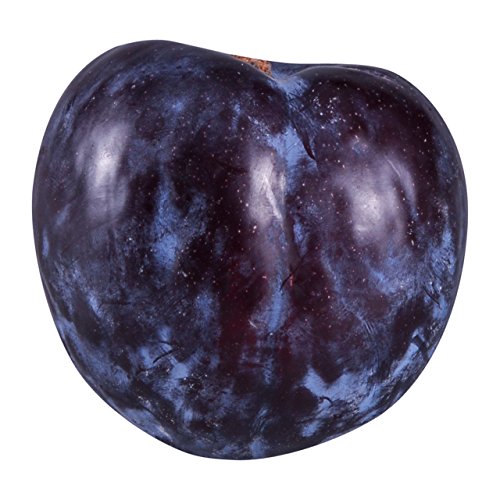Black Plum, 1 Each