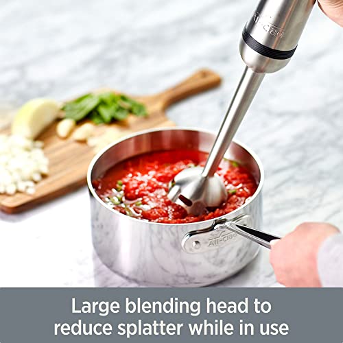 All-Clad Electrics Stainless Steel Immersion Blender 2 Piece Turbo Function 600 Watts Detachable, Variable Speed Control, Hand Blander, 9-1/4-inch