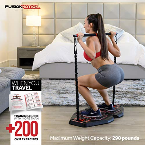 Portable Gym with 8 Accessories Including Heavy Resistance Bands, Tricep Bar, Ab Roller Wheel, Pulleys and More - Full Body Workout Home Exercise Equipment to Build Muscle and Burn Fat